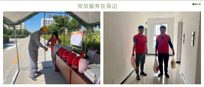 网站1.png