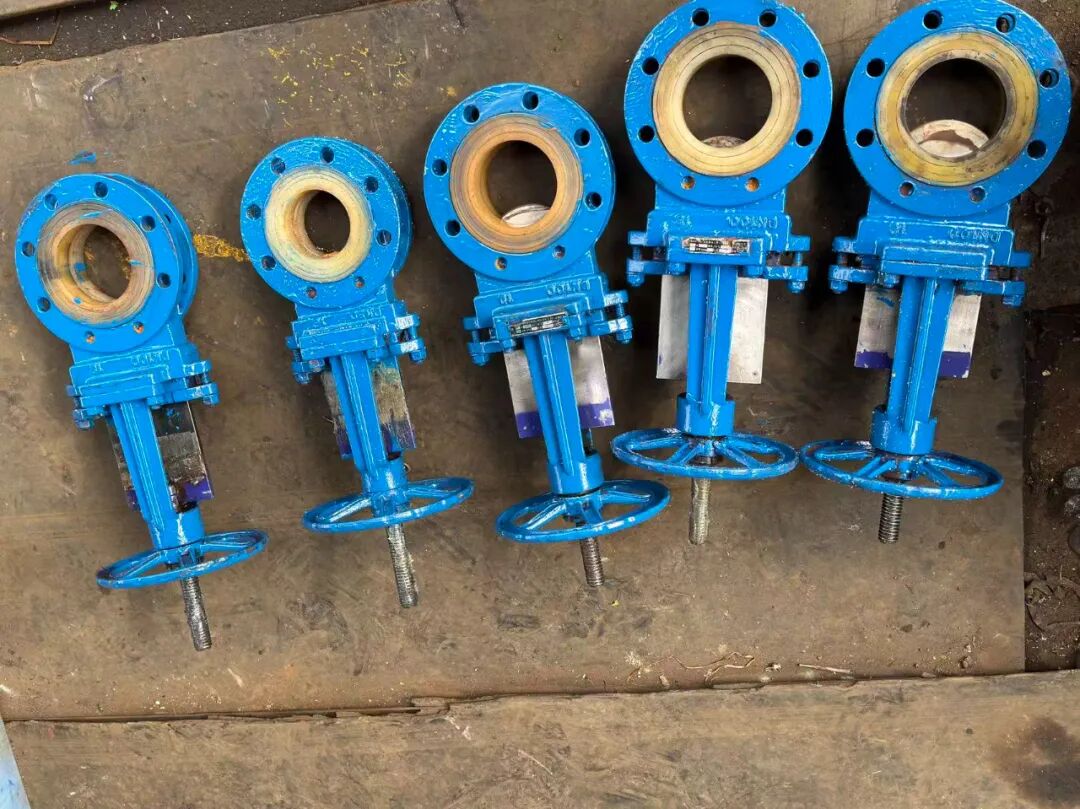 291761702537107442.jpeg 2.jpg